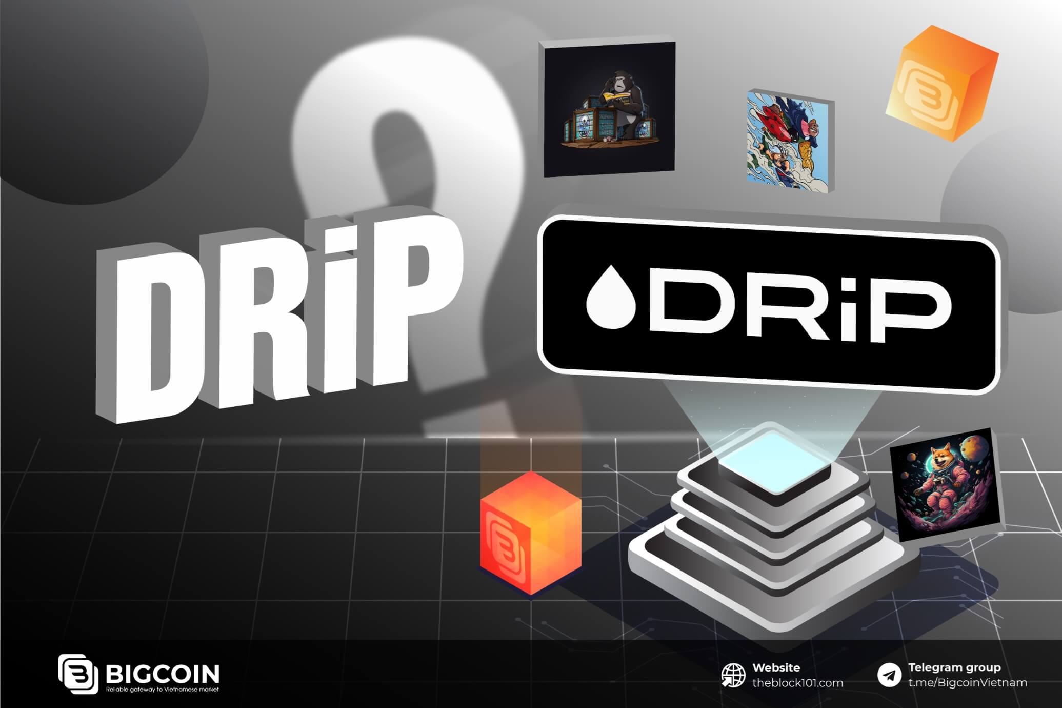 DRiP là gì? Nền tảng phân phối NFT miễn phí trên Solana